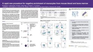 Procedure for Negative Enrichment of Monocytes from Mouse Blood and Bone Marrow