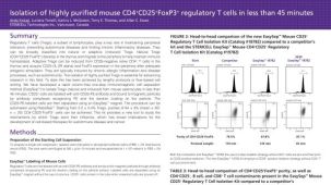Isolation of Highly Purified Mouse CD4+CD25+Foxp3+ Regulatory T Cells in Less