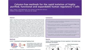 Rapid Isolation of Highly Purified, Functional and Expandable Human Regulatory T Cells