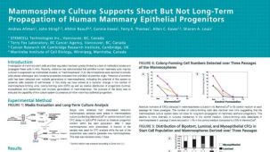 Mammosphere Culture Supports Short But Not Long-Term Propagation of Human Mammary Epithelial Progenitors