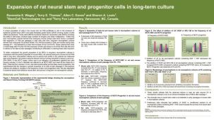 Expansion of Rat Neural Stem and Progenitor Cells in Long-Term Culture