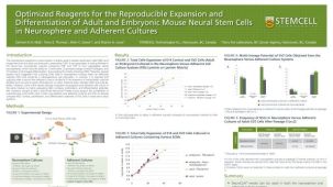Optimized Reagents for the Reproducible Expansion and Differentiation of Adult and Embryonic Mouse Neural Stem Cells in Neurosphere and Adherent Cultures