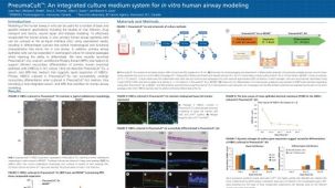 PneumaCult™: an Integrated Culture Medium System for in Vitro Human Airway Modeling