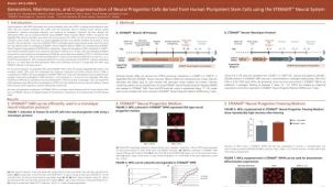 Generation, Maintenance and Cryopreservation of Neural Progenitor Cells Derived from Human Pluripotent Stem Cells Using the STEMdiff™ Neural System