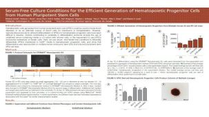 Efficient Differentiation of Human Pluripotent Stem Cells to Hematopoietic Progenitor Cells in Serum-Free Culture Conditions