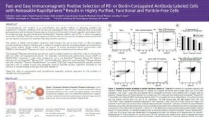 Positive Selection of PE- or Biotin-Conjugated Antibody Labeled Cells with Releasable Rapidspheres™