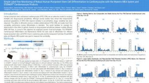 Simple Label-free Monitoring of Robust Human Pluripotent Stem Cell Differentiation to Cardiomyocytes with the Maestro MEA System and STEMdiff™ Cardiomyocyte Products