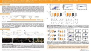 Optimized Media and Workflow for the Expansion of Human Pluripotent Stem Cells as Aggregates in Suspension Cultures