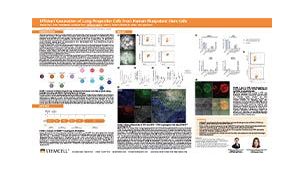 Efficient Generation of Lung Progenitor Cells From Human Pluripotent Stem Cells
