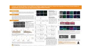 A Serum- and Bovine Pituitary Extract (BPE)-Free Medium Supporting Long-Term, Feeder-Free Expansion Of Primary Human Epidermal Keratinocytes that Retain Their Air-Liquid Interface Differentiation