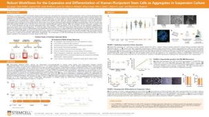 Robust Workflows for the Expansion and Differentiation of Human Pluripotent Stem Cells as Aggregates in Suspension Culture
