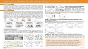 A Serum-free Medium For Expanding Patient-derived Cystic Fibrosis Rectal Organoids And Performing Functional Assays