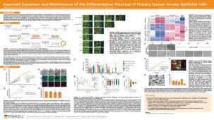 Improved Expansion and Maintenance of the Differentiation Potential of Primary Human Airway Epithelial Cells