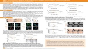 A New Organoid Culture Platform for Forskolin-Induced Swelling Assays and Drug Screening Applications