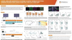 A Novel mRNA-LNP Platform to Rapidly Generate Functional Forebrain Neurons from hPSCs Using NGN2