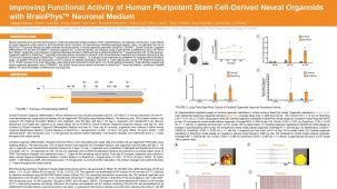 Improving Functional Activity of Human Pluripotent Stem Cell-Derived Neural Organoids with BrainPhys Neuronal Medium