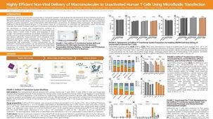 Highly Efficient Non-Viral Delivery of Macromolecules to Unactivated Human T Cells Using Microfluidic Transfection