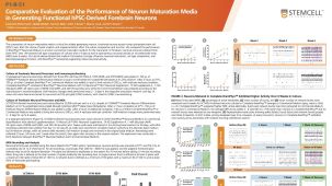 Comparative Evaluation of the Performance of Neuron Maturation Media in Generating Functional hPSC-Derived Forebrain Neurons