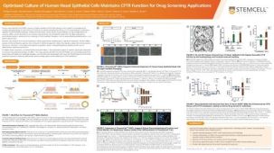 Optimized Culture of Human Nasal Epithelial Cells Maintains CFTR Function for Drug Screening Applications