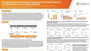 Functionally Relevant hPSC-Derived Hepatocytes and Hepatic Organoids for Hepatotoxicity and Liver Biology Modeling