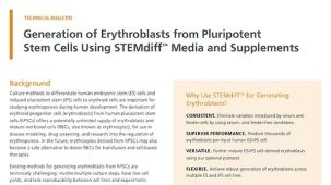 Generation of Erythroblasts from Pluripotent Stem Cells Using STEMdiff™ Media and Supplements