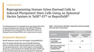 使用游离性载体系统，在TeSR™-E7™ 或ReproTeSR™中将人尿液衍生细胞重编程为诱导多能干（iPS）细胞