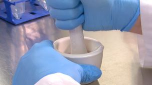 How to Isolate Mesenchymal Stromal Cells (MSCs) from Mouse Compact Bone