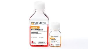 mTeSR™1: Standardized Medium for the Feeder-Independent Maintenance of hESCs & hiPSCs