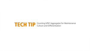 How to Count hPSC Aggregates to Determine Plating Density for Maintenance and Differentiation