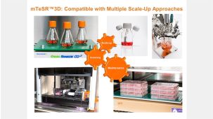 mTeSR™3D for Expansion and Scale Up of Human Pluripotent Stem Cell Cultures 