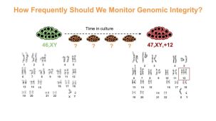 Maintaining and Assessing High-Quality hPSC Cultures
