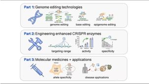 Improving Genome Editing with Enhanced CRISPR-Cas Nucleases
