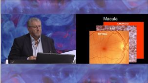 Nature Research Round Table: Retinal Cell Therapy Using Human Embryonic Stem Cells