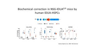 Engineering the Hematopoietic System to Treat Non-Hematological Disorders