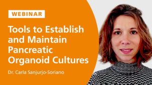 Tools to Establish and Maintain Pancreatic Organoid Cultures