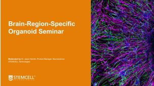 Building Brain Organoids and AssemBloids™ to Study Human Development and Disease