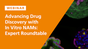 Drug Discovery with In Vitro NAMs: Expert Roundtable