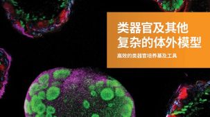 类器官及其他复杂的体外模型