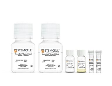 MammoCult™人乳腺类器官培养试剂盒