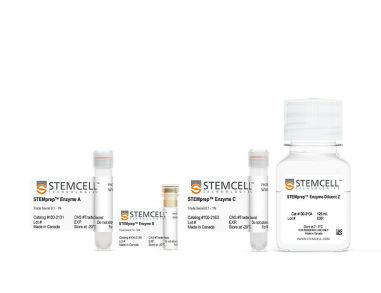 STEMprep™小鼠肝脏解离试剂盒