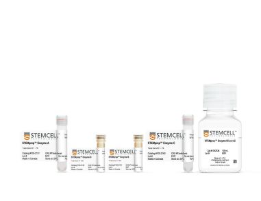 STEMprep™小鼠肿瘤解离试剂盒