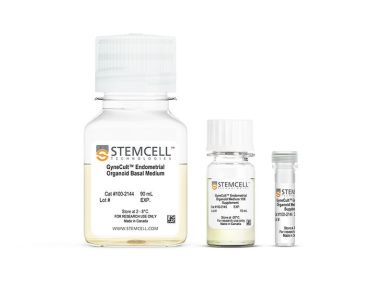 GyneCult™子宫内膜类器官培养基
