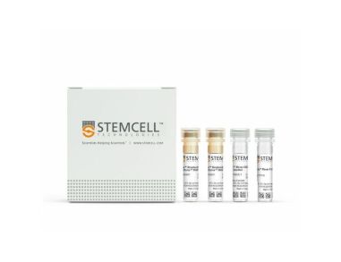 EasySep™小鼠CD8+ T细胞分选试剂盒