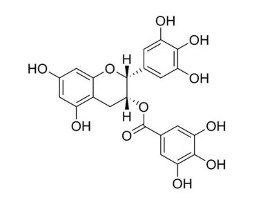 (-)-Epigallocatechin Gallate