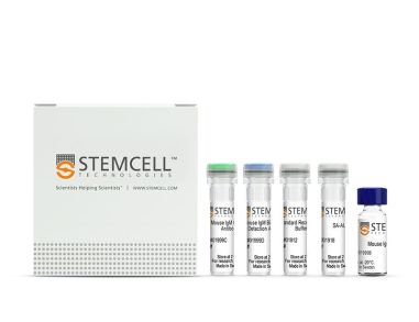 小鼠IgM抗体对ELISA试剂盒