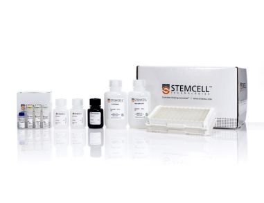 小鼠IL-4酶联免疫吸附测定试剂盒