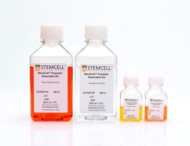NeuroCult™成年中枢神经系统（CNS）组织酶解试剂盒（小鼠和大鼠）