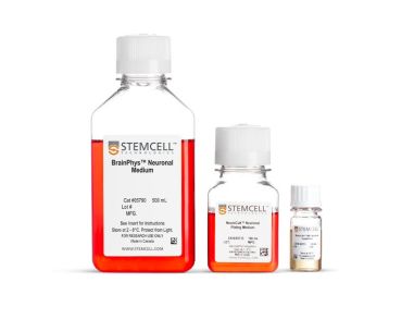 BrainPhys™原代神经元试剂盒