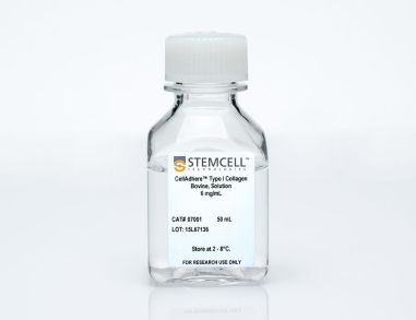 CellAdhere™ I型胶原蛋白（牛源，溶液）