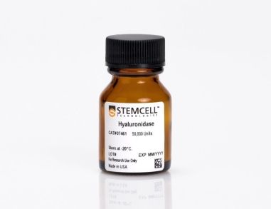透明质酸酶